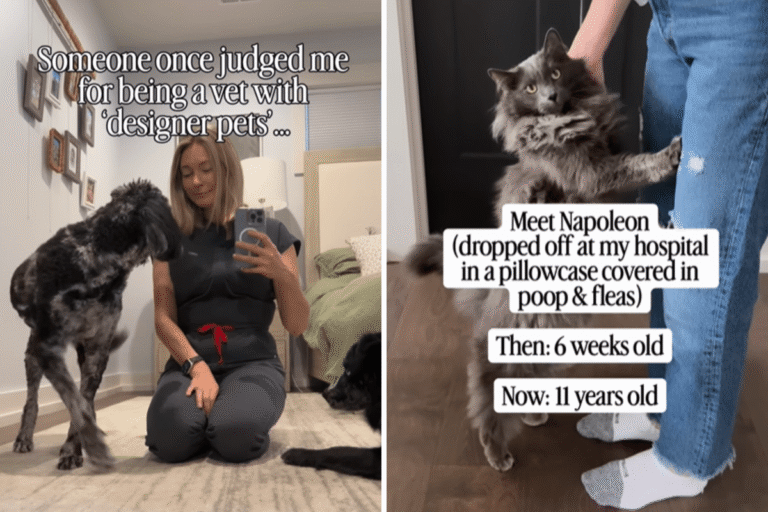 Vet Judged for 'Designer Pets'—Then Reveals Heartbreaking Reality – Newsweek