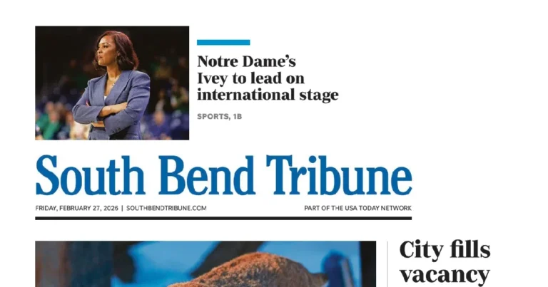 More concerns about manufactured pet foods – PressReader