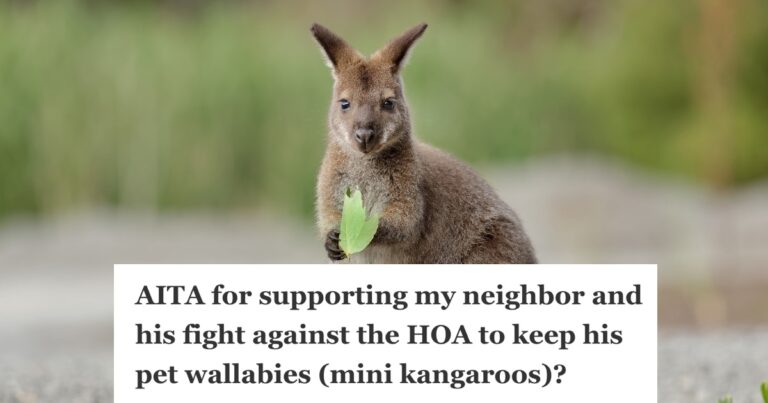 HOA Resident Doesn't Care That A Neighbor Has Pet Wallabies, But The President … – TwistedSifter