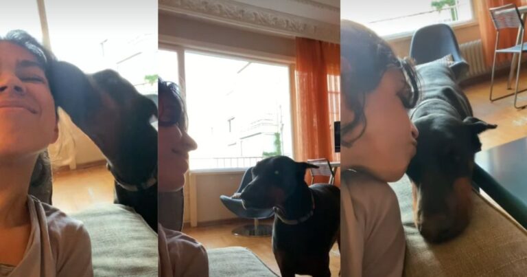 Rescue Dog's Reaction to Being Kissed Is Unlike Anything You've Ever Seen – DogTime