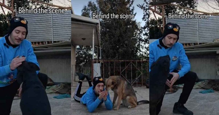 Dogs Make Filming a Tough Task in Behind-the-Scenes Video – DogTime