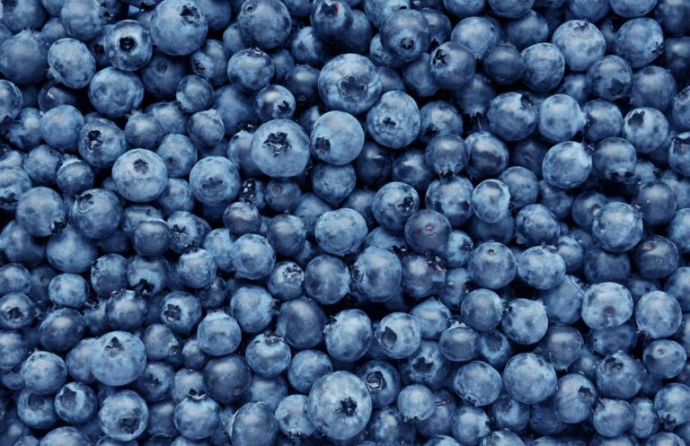 Washington Among States Impacted by Highest-Level Blueberry Recall