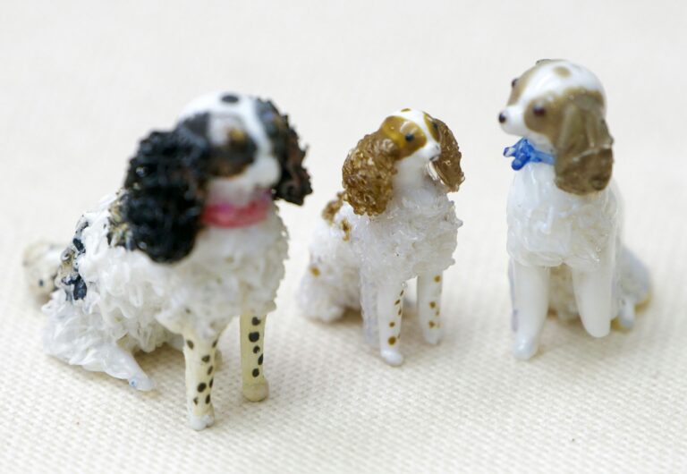 Best Teething Toys for Puppies