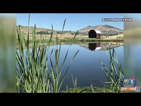 Snaps on Sunrise 2.09.2026 – YouTube