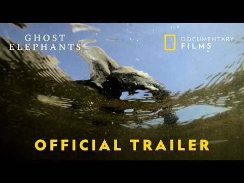 Ghost Elephants | Official Trailer | National Geographic Documentary Films – YouTube
