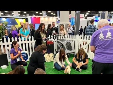 Drive for Good: Happiness Begins with a Wagging Tail – YouTube