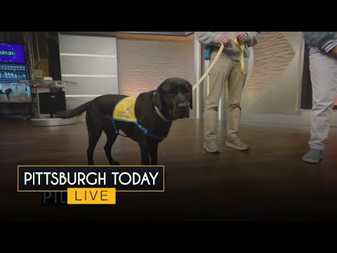 The PTL Pup Maz is all grown up! – YouTube
