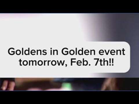Thousands of Golden Retrievers heading to Golden this weekend – YouTube
