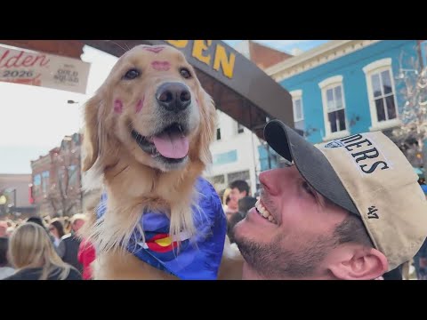 Largest gathering of golden retrievers in the world returns to Colorado – YouTube