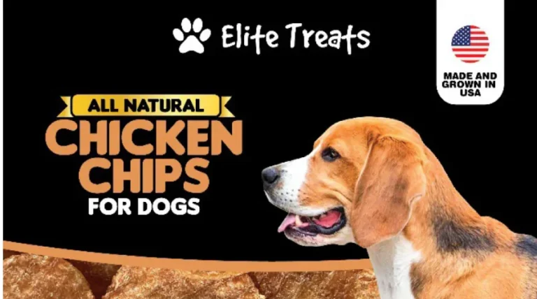 Company Recalls Pet Treats Sold in 5 States – NTD News