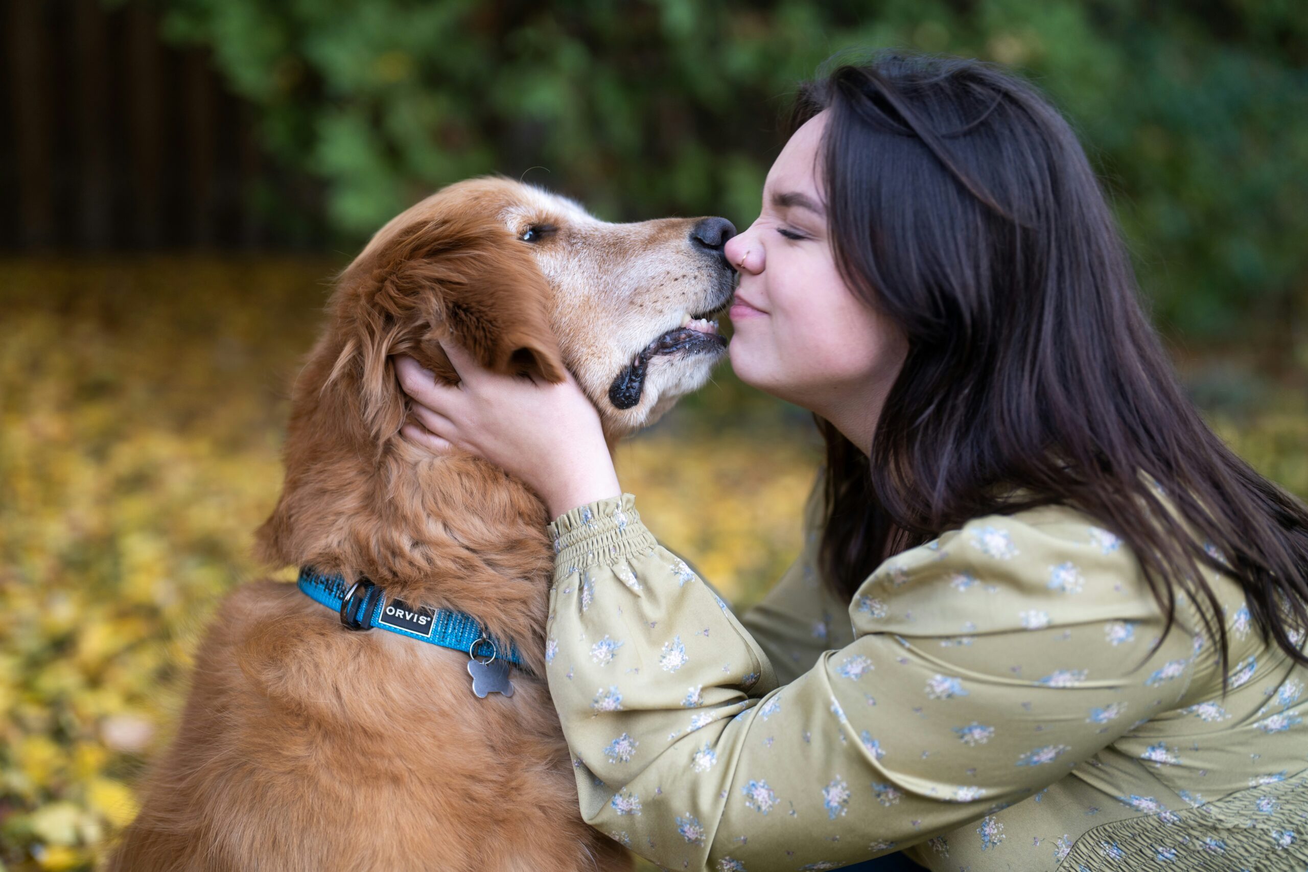 A woman kissing a dog on the nose - PuppyStorage.com