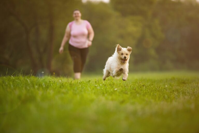 woman in pink shirt and pink shorts running on green grass field during daytime - PuppyStorage.com