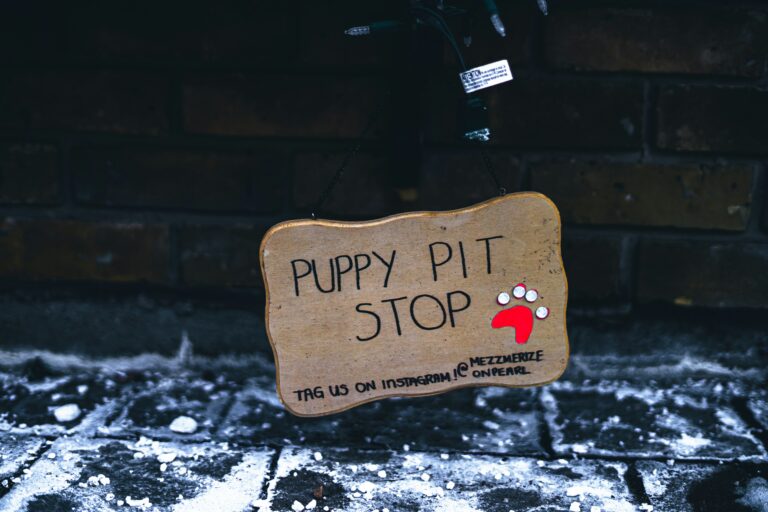 a sign that says puppy pit stop hanging on a brick wall - PuppyStorage.com