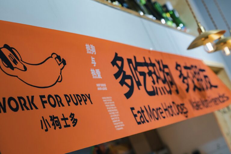 Signs Your Puppy’s Toy Needs Replacing