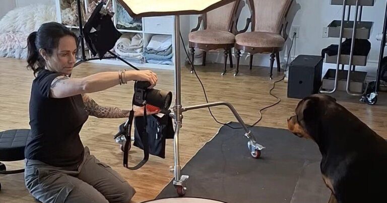 Pet photographer seeking dogs for Durham photo book