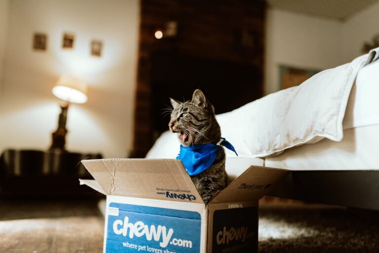 Chewy Is Selling a Precious $41 Cat Condo Shaped Like a Unicorn and It’s So Unique