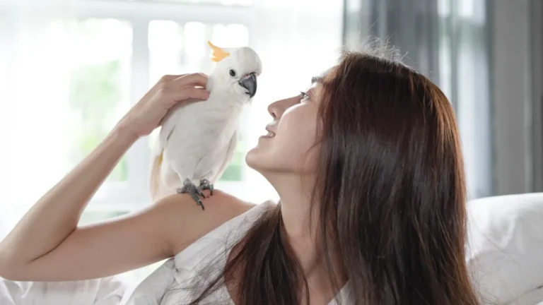 Cockatoo Has the Sweetest Words for Mom As She Tries to Fall Asleep – Yahoo