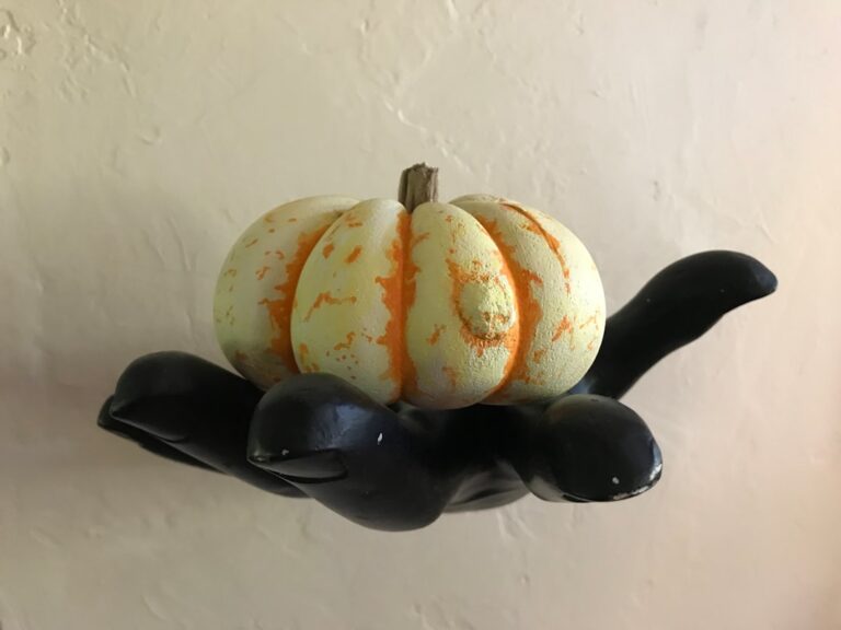 Cockatoo’s ‘Spooky Strut’ Has Mom Shaking in Her Boots – Parade Pets