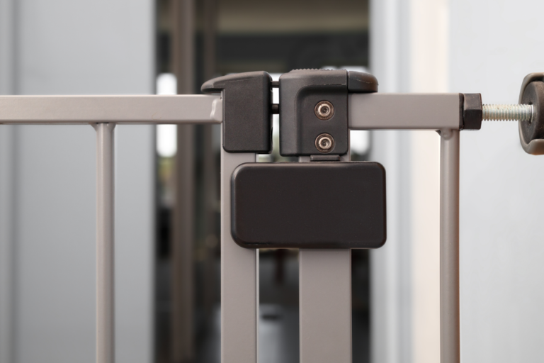 Owner Secures Dogs Behind Baby Gate—Then Checks Pet Cam – Newsweek