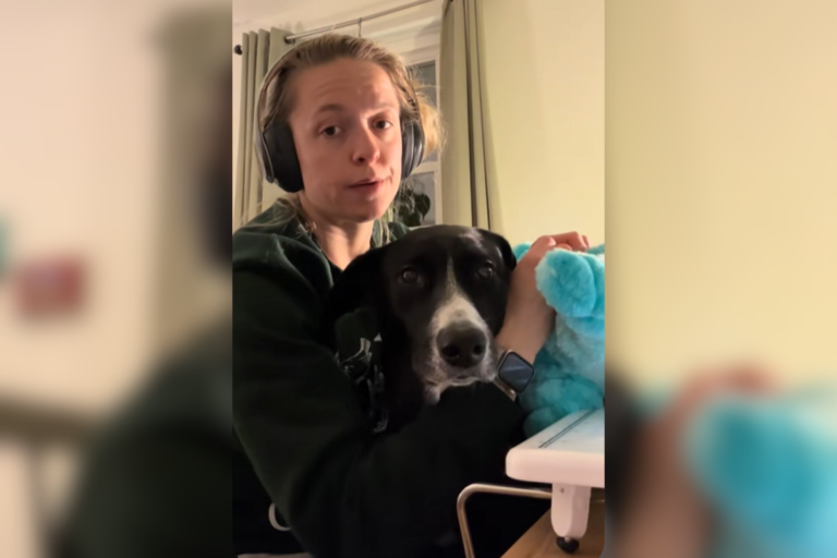 Rescue Dog Has Adorable Requests Whenever Their Owner Starts Sewing – Newsweek