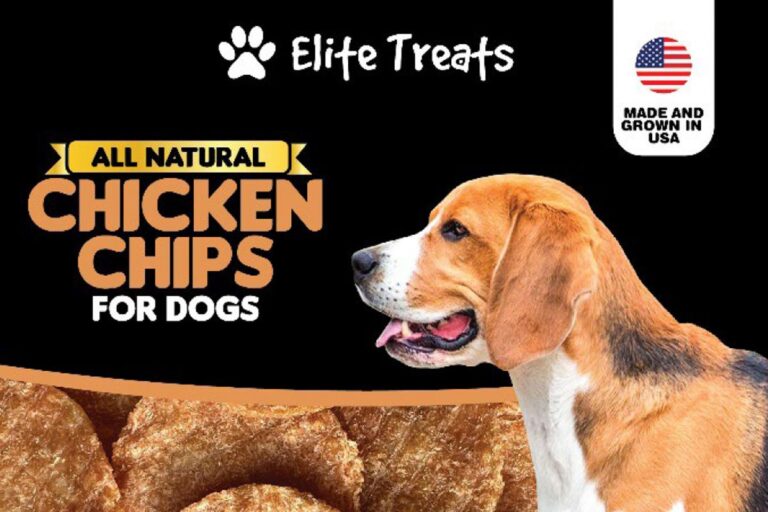 Dog Treats Recalled After Potential Salmonella Contamination – AOL.com