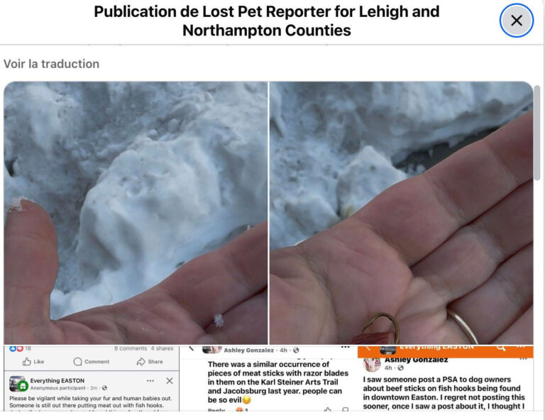 Dog sniffs the ground on a walk: what he finds is every owner’s worst nightmare – MSN