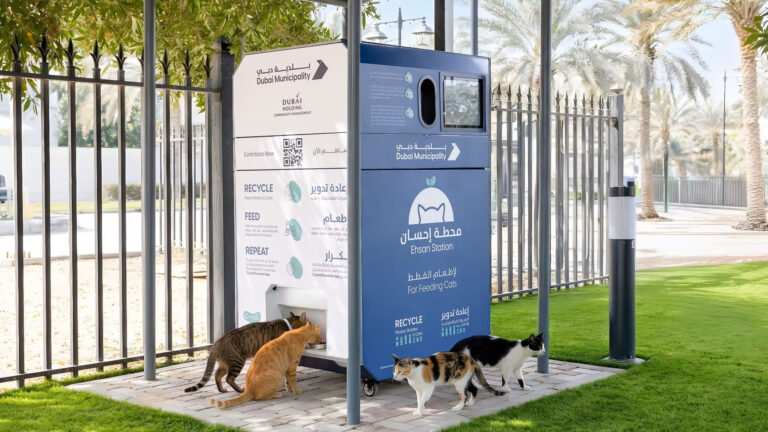 Dubai launches region’s first AI-powered feeding stations for stray cats and animals – MSN