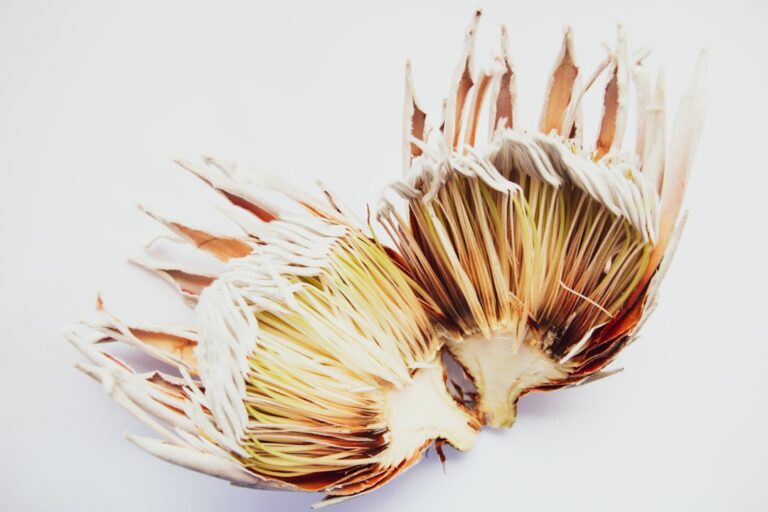 Golden Retriever Crowned ‘Pet of the Month’ at Apartment Complex and the Photo Is the Best