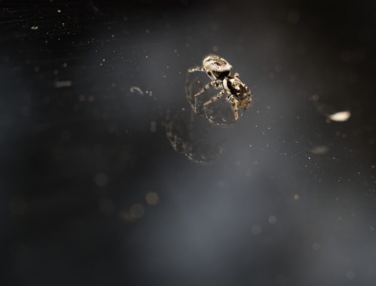 Golden Retriever Joins His Tiny Best Friend on a Swing for Pure Joy – Parade Pets