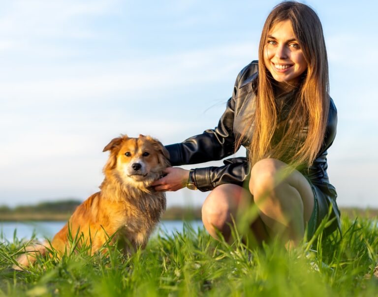 Golden Retriever Puppy and His Best Friend Turn the Beach Into a Playground – ParadePets