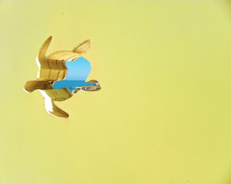 Golden Retriever Throws Funniest Temper Tantrum After Mom Dares To Wipe Her Paws