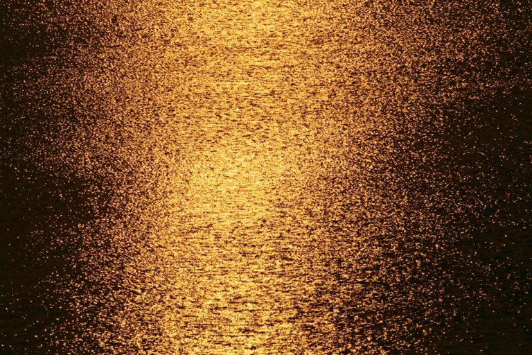 Golden Retriever Waiting To Be Invited to Wedding Party Is the Cutest Little Crasher