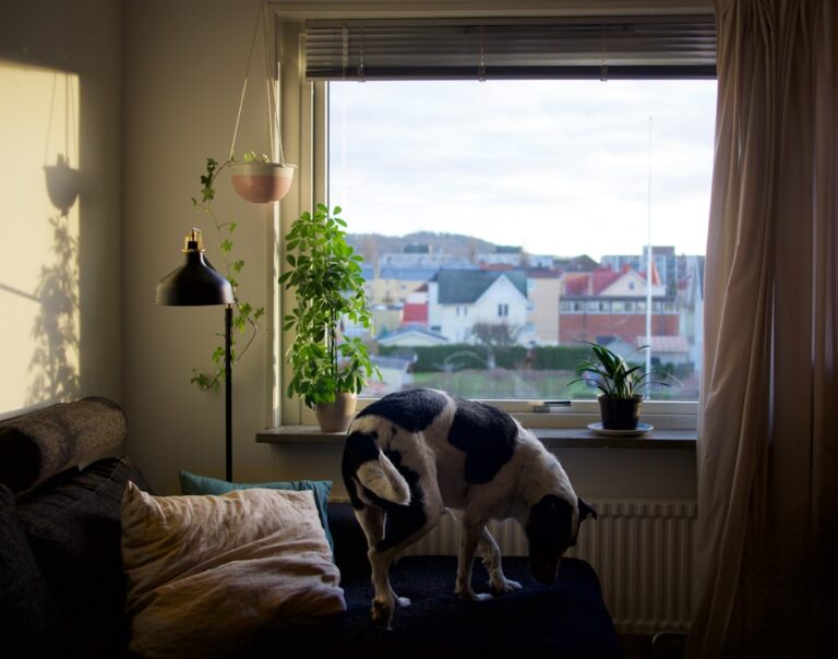 IKEA Is Selling a Cute Ambient Light That’s Perfect for Dog Lovers – PetHelpful