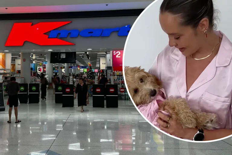 Kmart’s ‘bestselling’ $10 pet item sparks warning for shoppers over easy mistake: ‘Distressing’