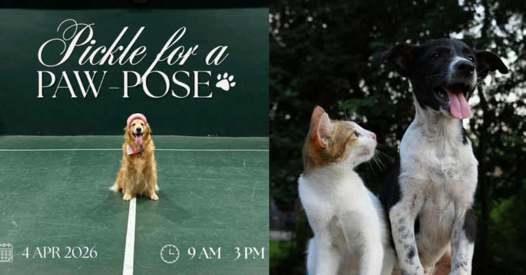 Play Pickleball, Meet Cute Adoptable Pets & Help Raise Funds For Animals In Need This April