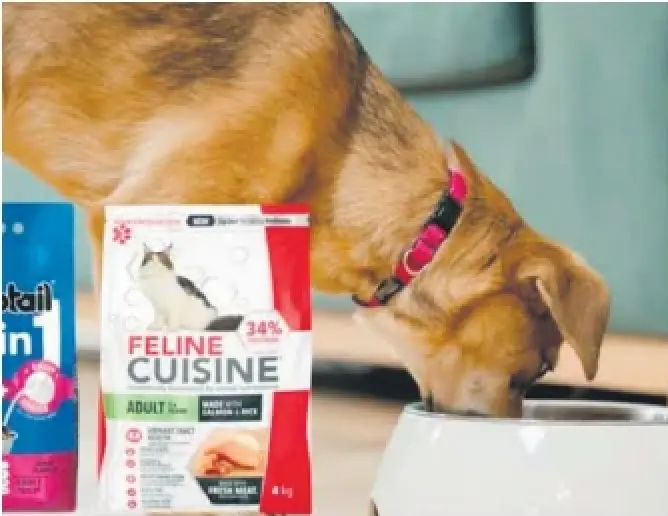 NATIONWIDE RECALL ISSUED FOR SEVERAL PET FOOD BRANDS – PressReader