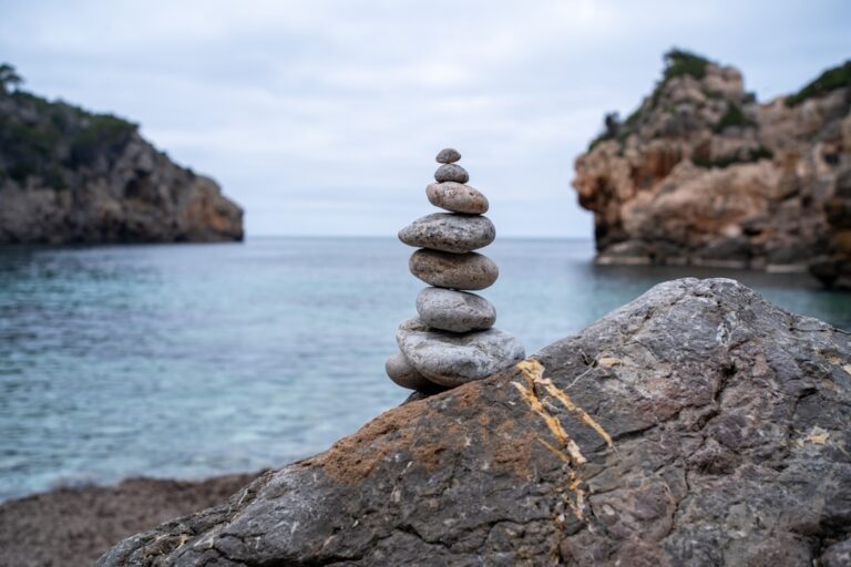 Natural Balance launches creative new campaign – Pet Food Processing