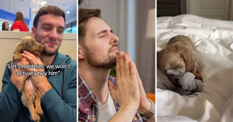 Walking Into A Pet Store Is A Dangerous Activity When You’re With Someone Who Always …