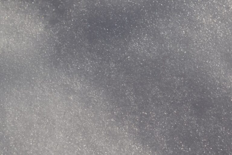 Pudgy Gray Frenchie Looks Exactly Like a Baby Koala Bear – Parade Pets