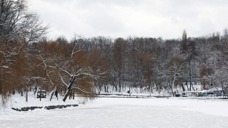 Rescuers follow tracks in the freezing cold and find a heartbreaking duo – MSN