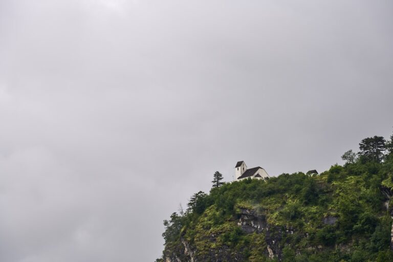 Super Rare Himalayan-Ragdoll Cat Mix Is Like a Fluffy Dream – Parade Pets
