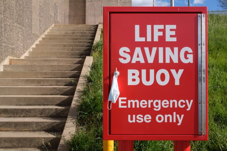 The Life-Saving Pet Emergency Moves More Owners Need to Know, According to a Vet