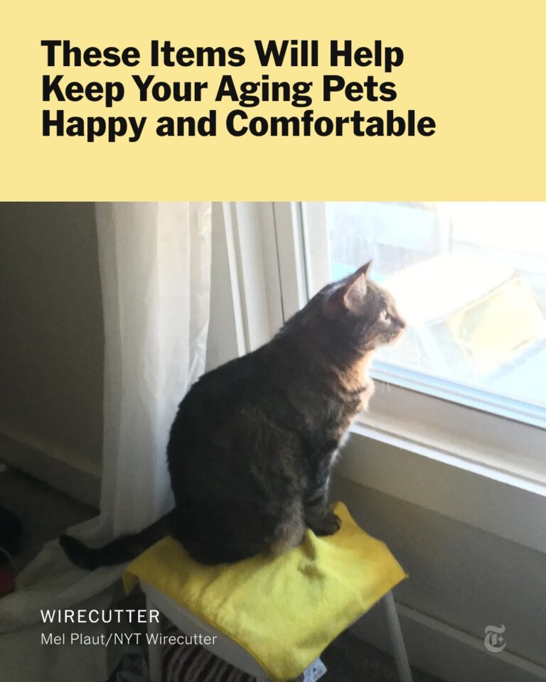 There are few things that tax the human heart more than seeing beloved pets approach the …