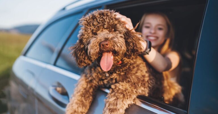 These are the best places in Australia to holiday with your pet – 9Travel