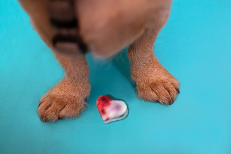 This Heartbeat Puppy Toy at Target Calms Dogs Almost Instantly – PetHelpful