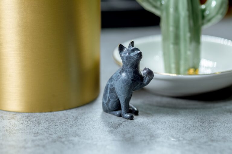 Tiny Chihuahua Mix Has the Most Hilariously Judgy Face – Parade Pets