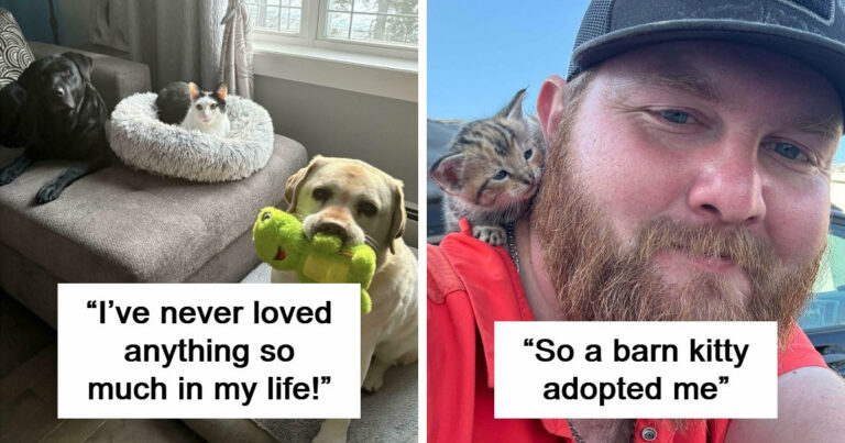 59 Times People Adopted Pets In March And Knew They Made The Right Choice – Bored Panda