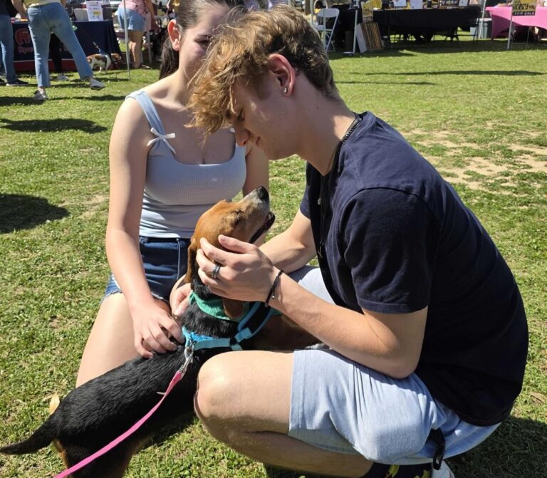 ‘Bark in the Park’ Pet Festival at Girard Park Sunday – KKAM