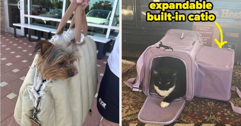 21 Pet Carriers Reviewers Swear By – BuzzFeed