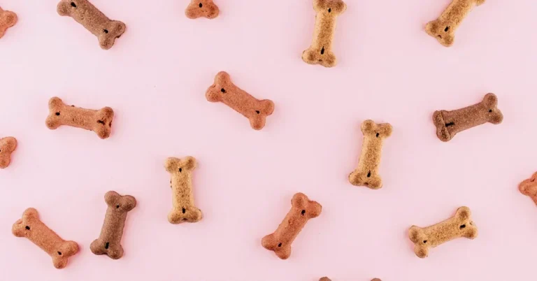 Dog Treats Recalled Over Salmonella Contamination Concerns – Green Matters